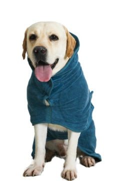 Pet Supplies - THIMS